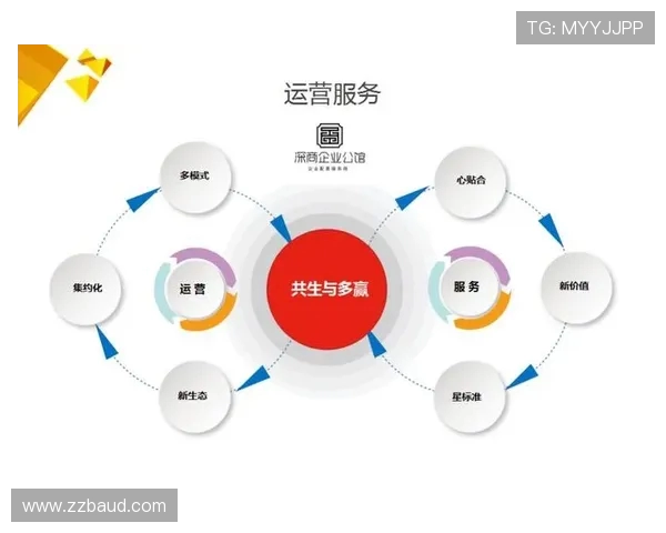 南京排球队战术解析：聚焦团队配合与进攻策略的深度探讨